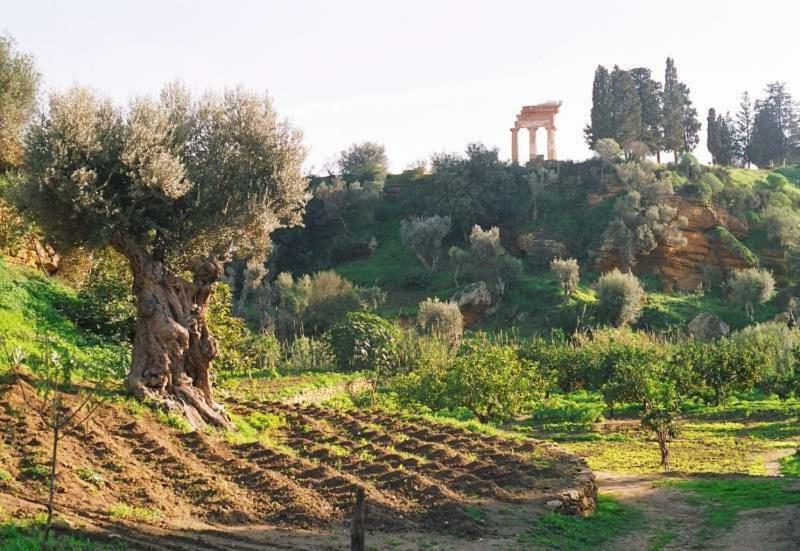 Dimora Dei Greci Apartment Agrigento Exterior photo